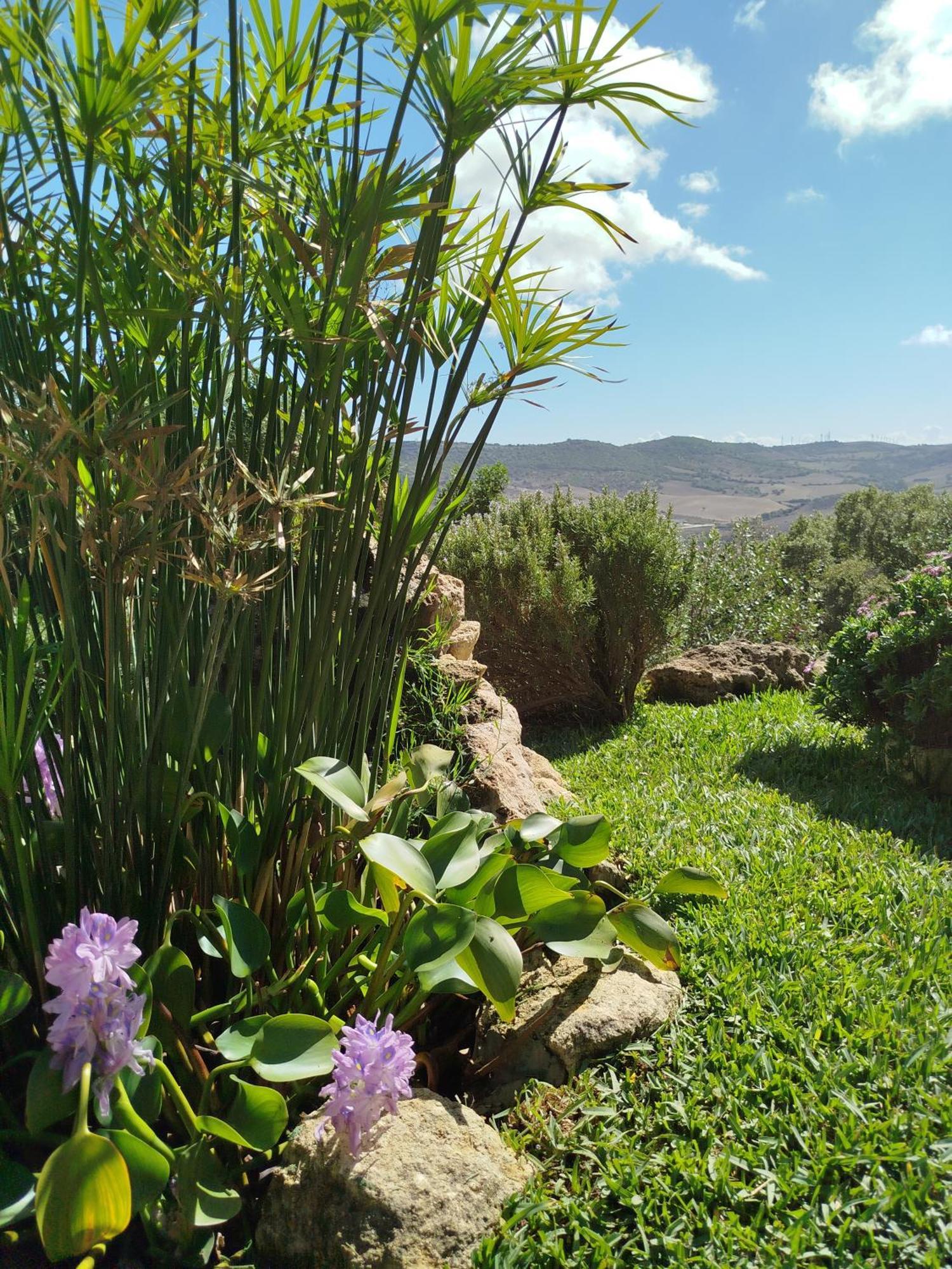 Casa Montecote Eco Resort Vejer de la Frontera Exterior photo
